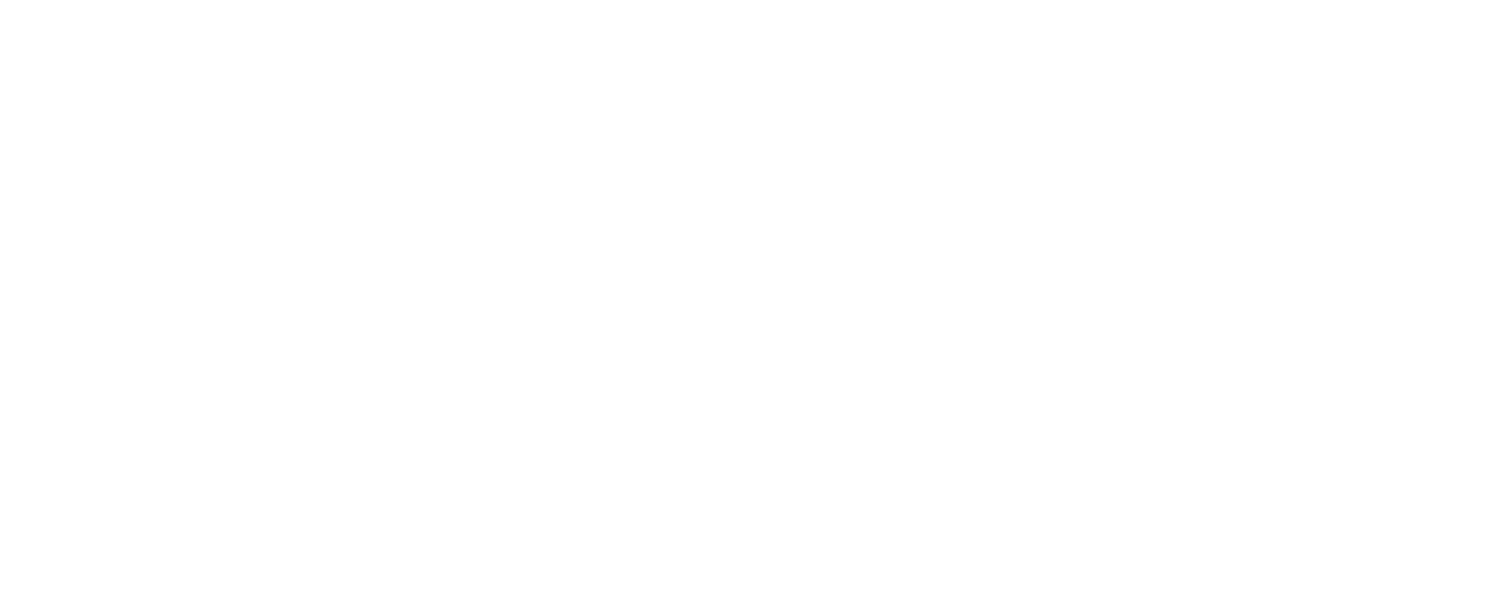 Vexals Logo